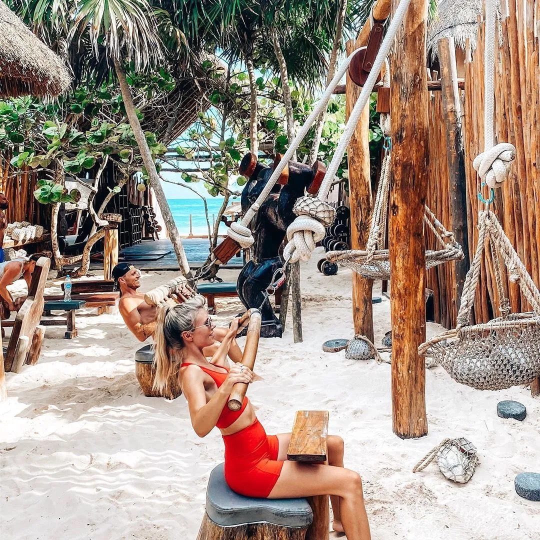 Jungle Gym
